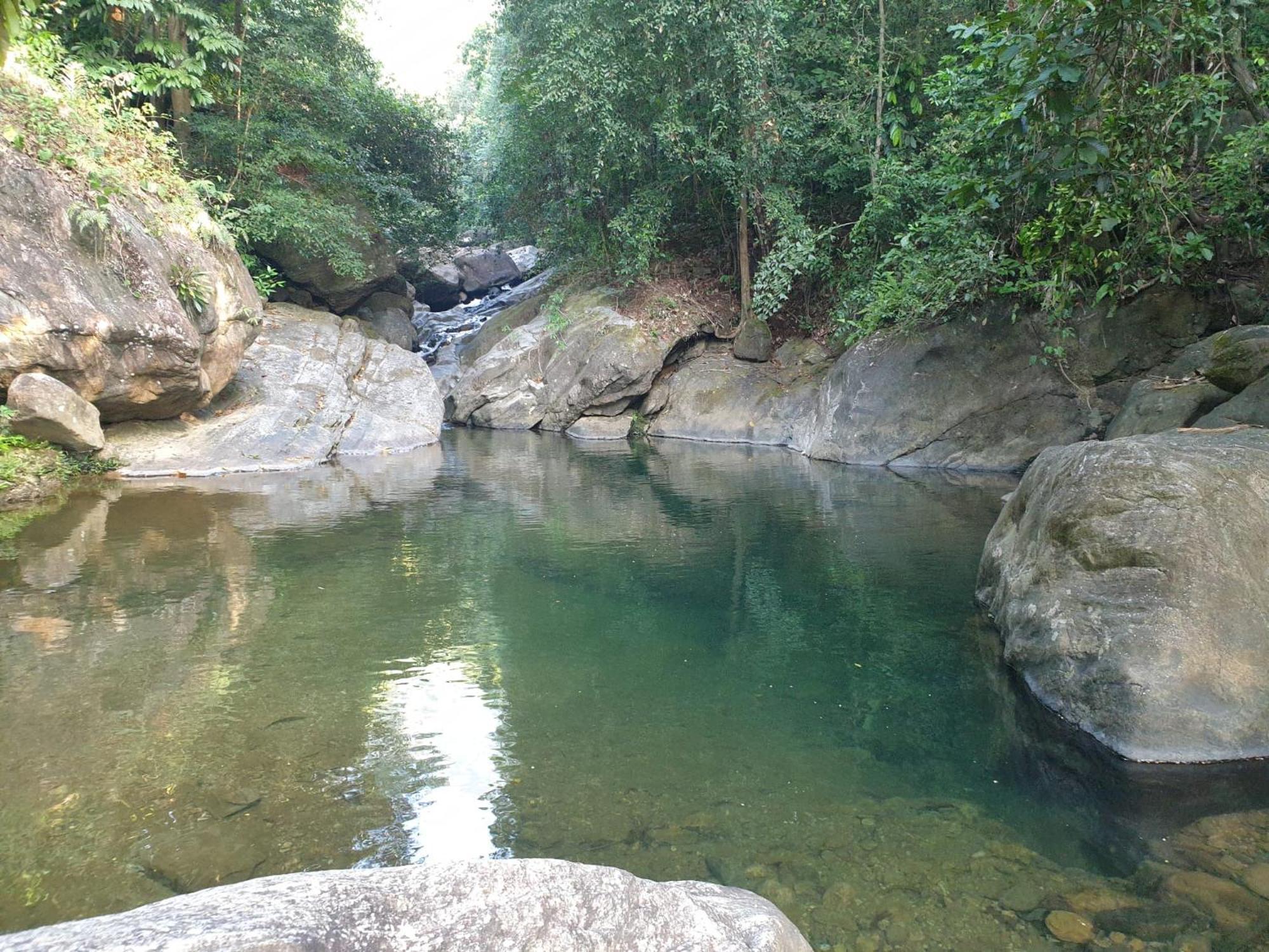 Gallene Gala Nature Resort Kitulgala Bagian luar foto