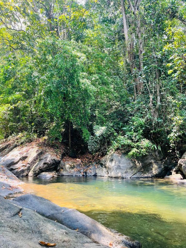 Gallene Gala Nature Resort Kitulgala Bagian luar foto