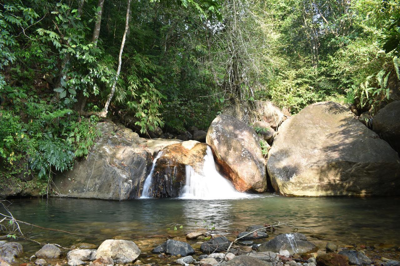 Gallene Gala Nature Resort Kitulgala Bagian luar foto